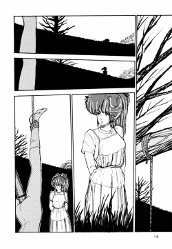 Page 13 of Toraware Penguin