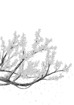 Page 20 of Hikari no Kimi no Saganaki Keikaku <Murasaki>