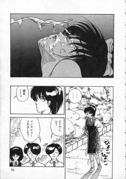 Page 66 of Pegimin H