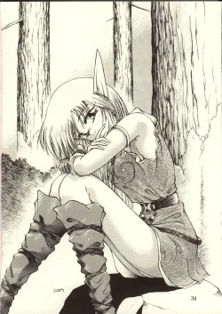 Page 33 of DIEDLIT 2