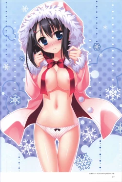 Page 41 of Hatsuyuki Sakura Visual Fanbook