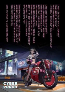 Page 3 of CYBER BELLY PUNCH・saiba hara pan