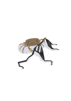 Page 14 of Hikoukai Archive