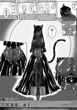 Page 22 of 魔法少女续