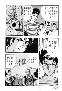 Page 529 of 瞳ダイアリー