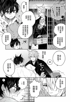 Page 22 of Itoshii Ano Kitsune o Metoritai | 想娶那只可爱狐狸 01-03