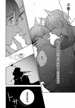 Page 25 of Itoshii Ano Kitsune o Metoritai | 想娶那只可爱狐狸 01-03