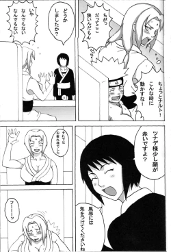 Page 28 of Kyonyuu no Ninja Chichikage