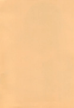 Page 2 of Nanji no RInjin o