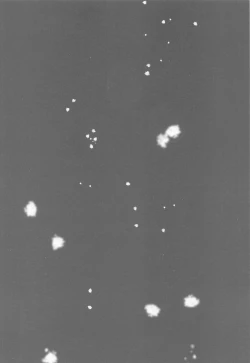 Page 33 of Matataki Biyori