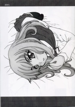 Page 20 of Zerol Version 1.5