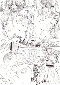 Page 11 of Shiruhime Daizenshuu