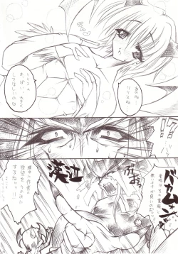 Page 15 of Shiruhime Daizenshuu