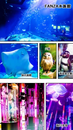 Page 83 of Panpan Travelers Okinawa Shuudan Rape Zumi Harem Hitoritabi Hen | 吃飯兼炒飯TRAVELERS 沖繩集團強姦