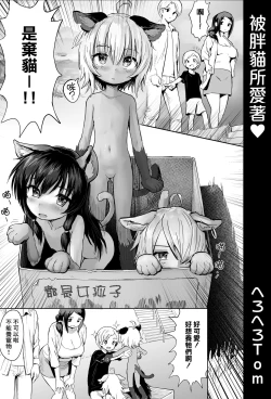 Page 3 of Debu Neko ni Aisarete | 被胖貓所愛著