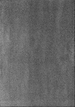 Page 53 of Taiho Shichauzo The Doujin