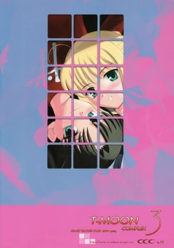 Page 2 of T-MOON COMPLEX 3