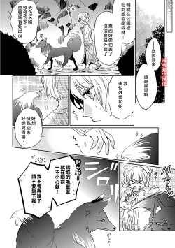 Page 15 of 鴫タヌキ 妖狐さまの華夜女 妖狐大人的華夜女01 【霧吹弥生漢化組】