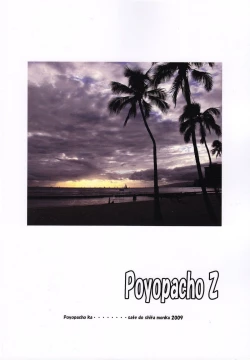 Page 2 of Poyopacho Z