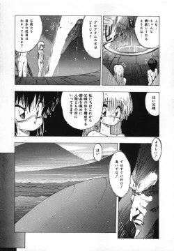 Page 12 of FLYING APPLE