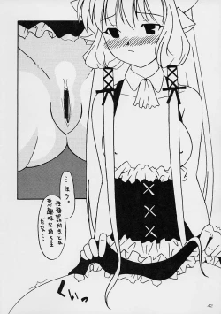 Page 41 of Kenko Daiichi