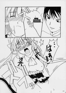 Page 43 of Kenko Daiichi