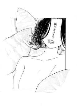 Page 1 of Warau Camellia