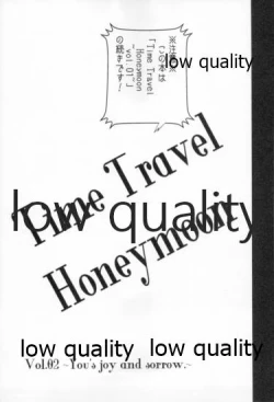 Page 2 of Time Travel Honeymoon 2