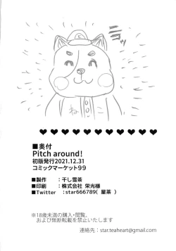 Page 33 of Pitch around!