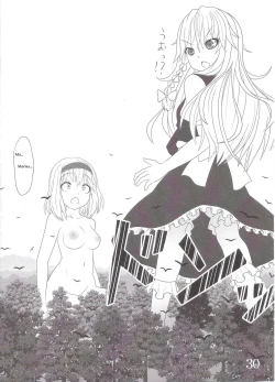 Page 30 of Touhou Super DreadnaughtGirl English