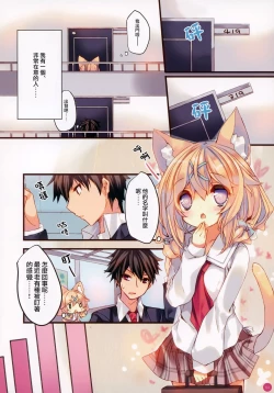 Page 5 of CAPPUCCINO