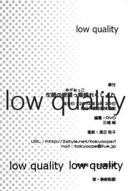 Page 29 of Saori no Meganekkollection