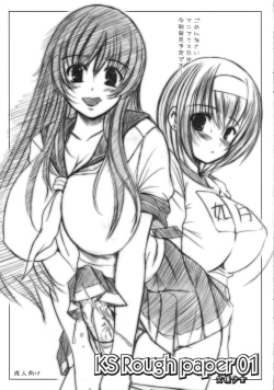 Page 1 of KS Rough paper 01