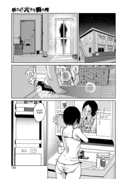 Page 5 of Chiisakute Ookina Mune no Uchi | Among Small and Big Chests