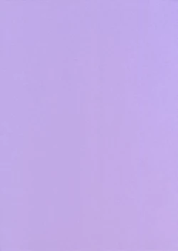 Page 2 of Negi Magic