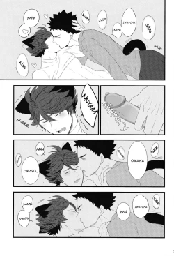 Page 26 of IwaChan’s Cat