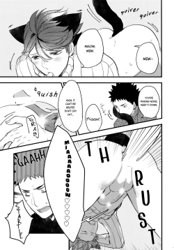 Page 18 of Iwa-chan no Neko ni Naritai 2