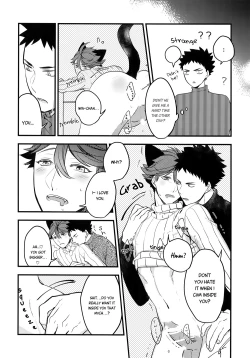 Page 23 of Iwa-chan no Neko ni Naritai 2