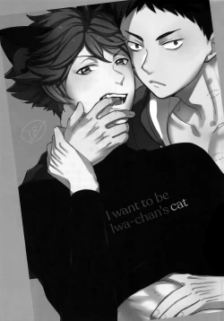 Page 2 of Iwa-chan no Neko ni Naritai 2