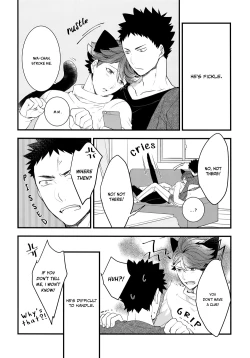 Page 5 of Iwa-chan no Neko ni Naritai 2