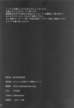 Page 29 of Dosama vs Chikan