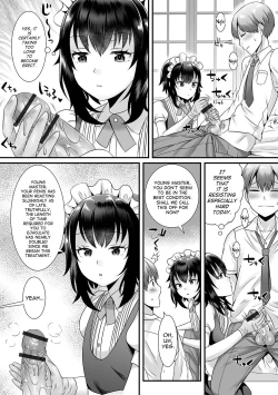 Page 3 of Seiki Sakushu Maid-san Oshigoto Desu Yo