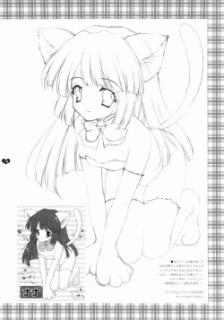 Page 17 of Angelic Metamorphose 001