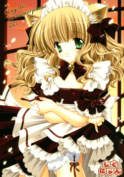 Download Angelic Metamorphose 001