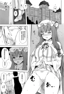 Page 2 of Patchouli Knowledge Kaihatsu Kiroku II