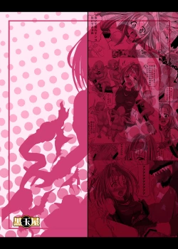 Page 30 of VI no Hon