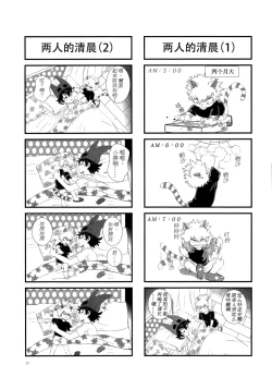 Page 12 of Shèngchū bào māo bǐjìběn