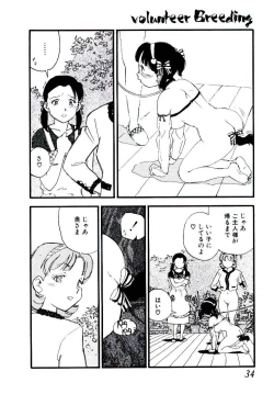 Page 33 of Volunteer Breeding