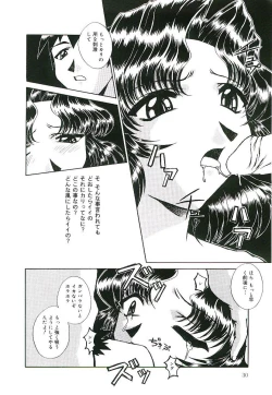 Page 31 of Injutsu Shinan Sho 3-gou