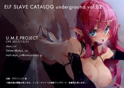 Page 11 of ELF SLAVE CATALOG UNDERGROUND Vol.02